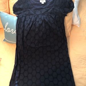 Ann Taylor Navy Dress